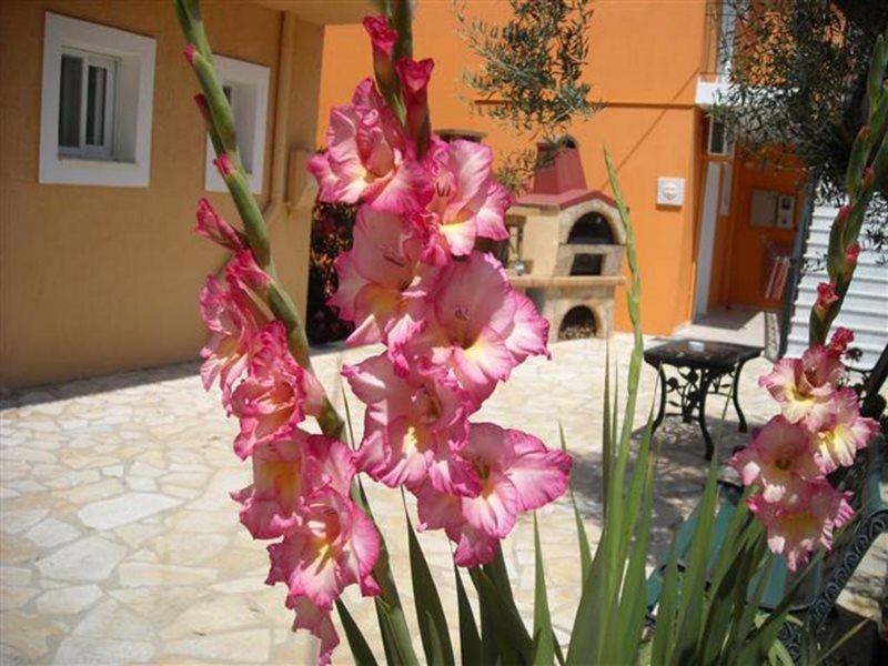 Erietta Studios Svoronata Luaran gambar