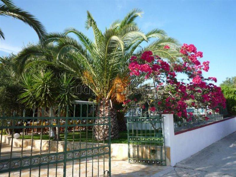 Erietta Studios Svoronata Luaran gambar