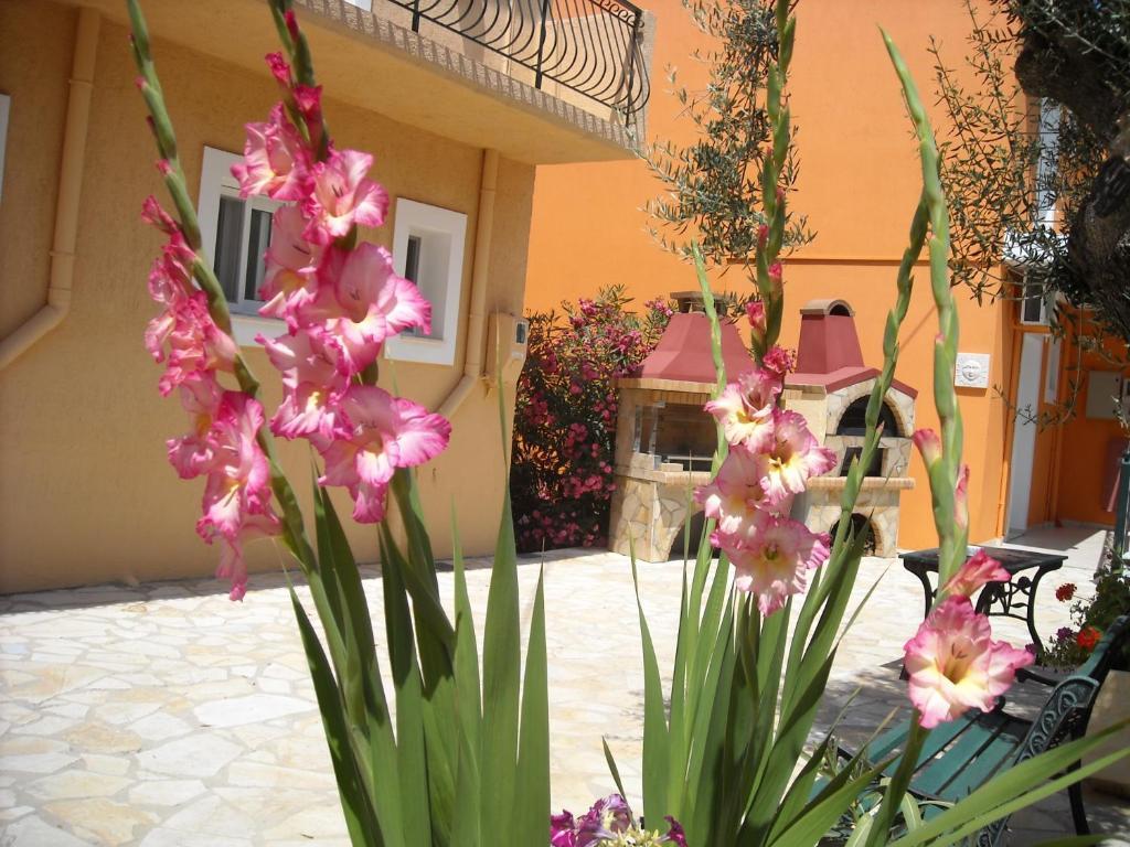 Erietta Studios Svoronata Luaran gambar